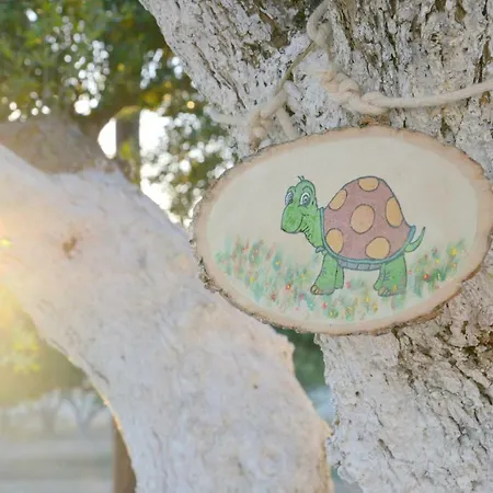 Traditional Relax * Zefiría