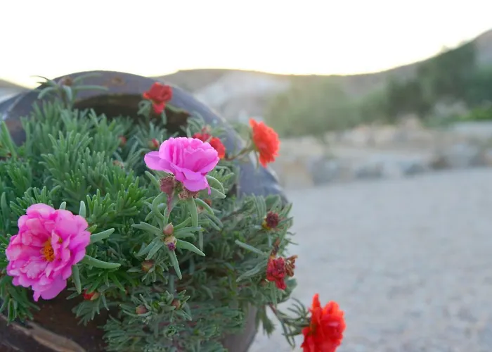 Villa Traditional Relax