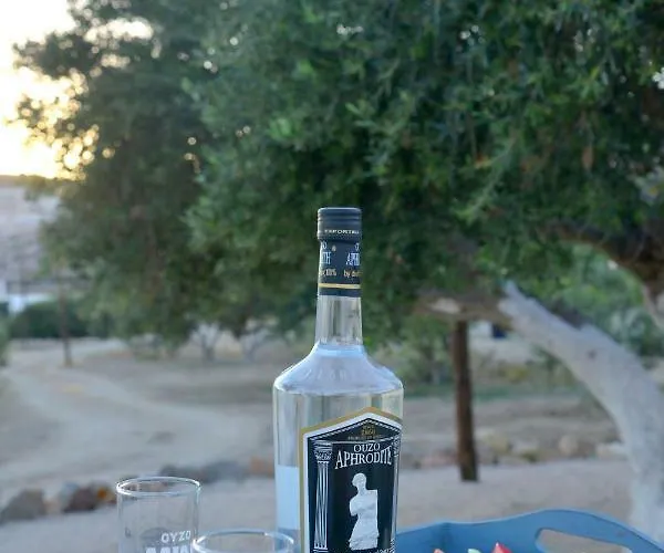 Villa Traditional Relax *