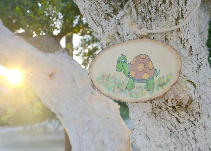 Traditional Relax * Zefiria