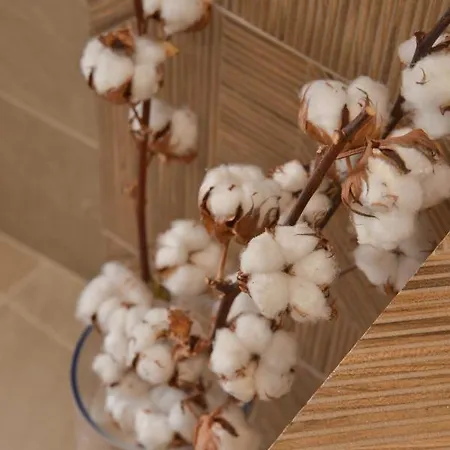 Traditional Relax Villa