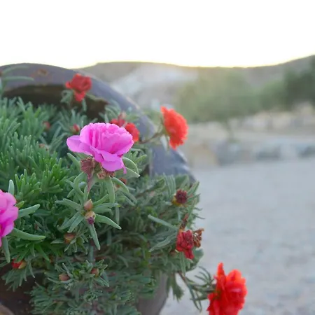 Villa Traditional Relax