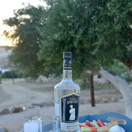 Villa Traditional Relax *