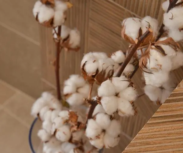 Traditional Relax ヴィラ